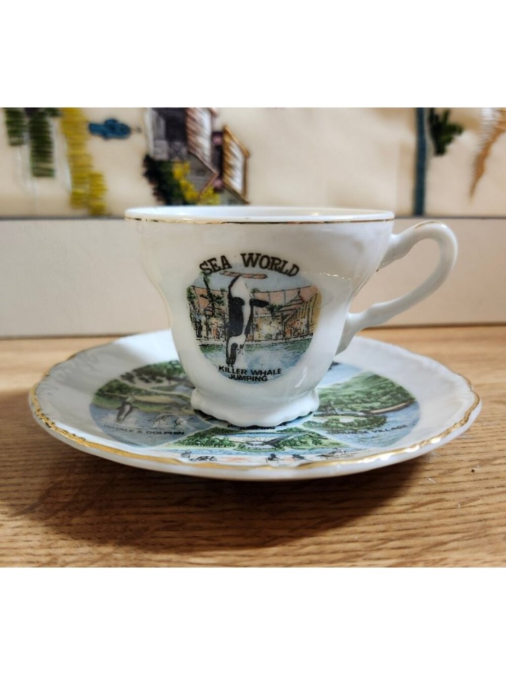 VTG Sea World Souvenir Demitasse Espresso Cup & Saucer Set Porcelain